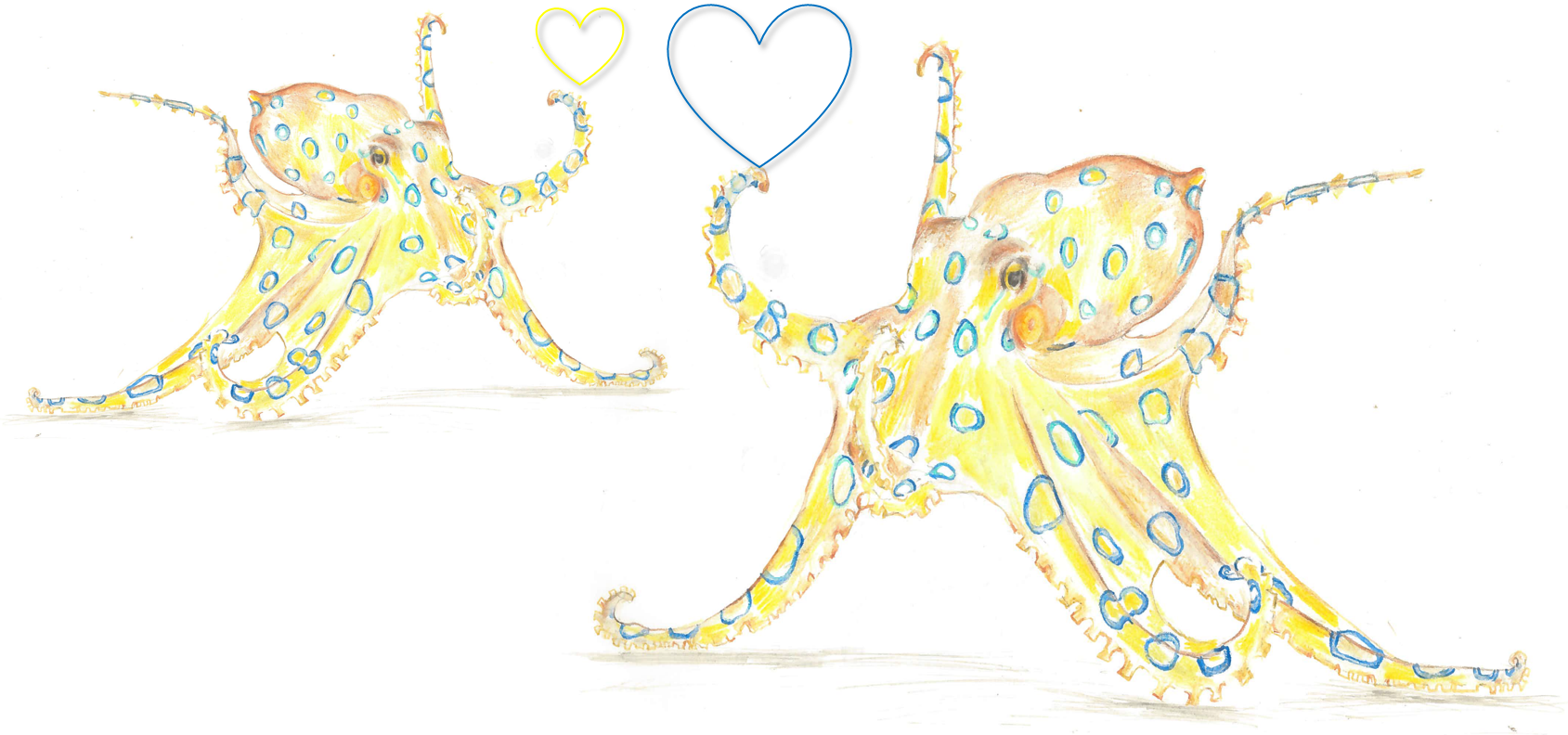 head-over-heals_final